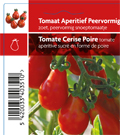 Tomate cerise poiré (tray 12 pot)